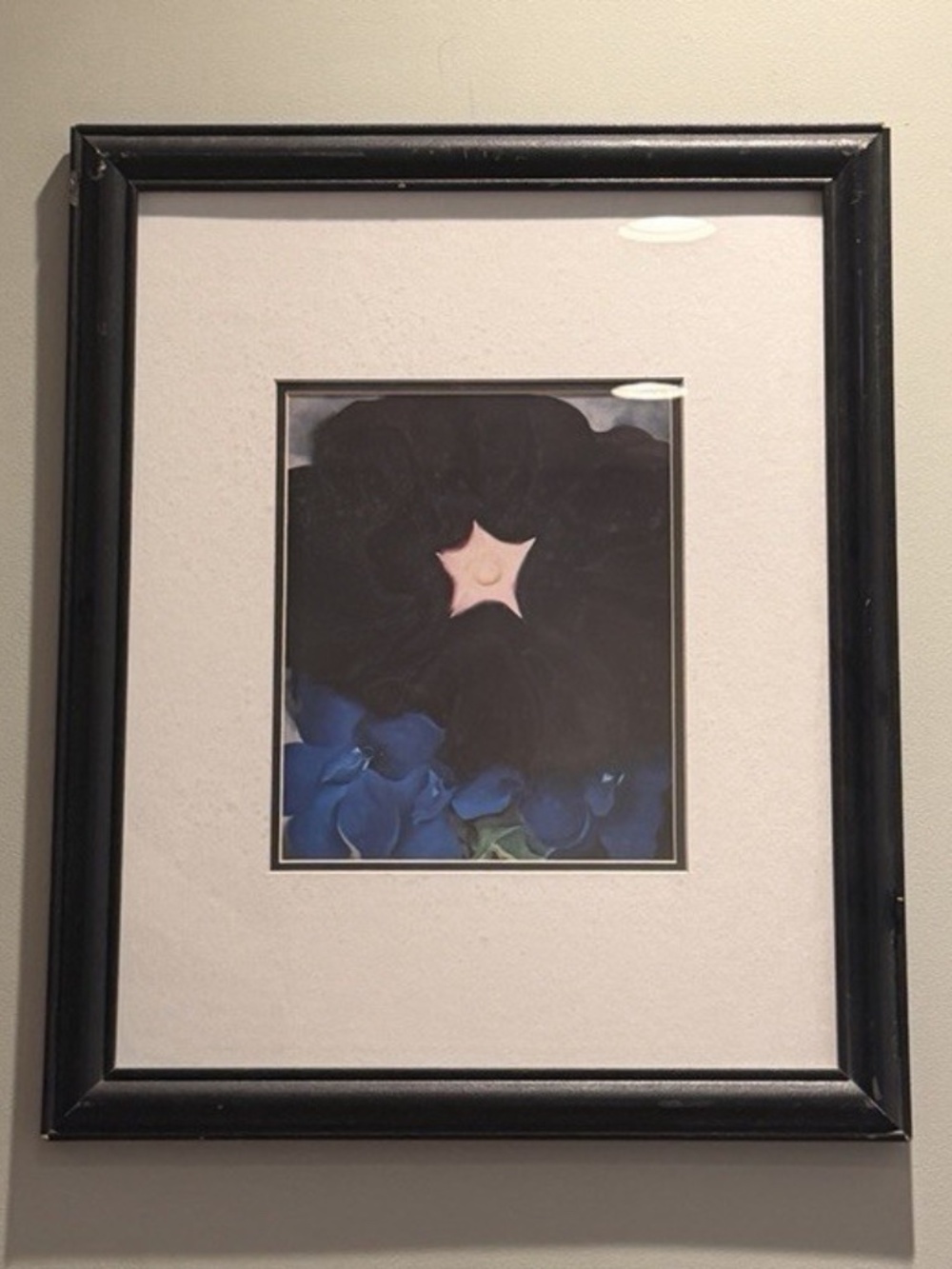Georgia O Keeffe Black Hollyhock Blue Larkspur Beautiful VMD5OK/10